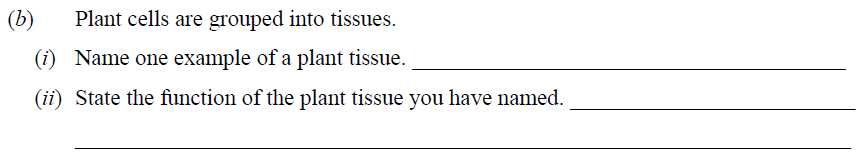 Plant-cells-are-grouped-into-tissues-Junior Cycle Science-Question (b)-2015.png