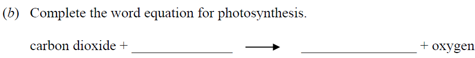 Complete-the-word-equation-for-photosynthesis-Junior Cycle Science-Question b-2011.png