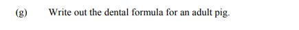 Write-the-dental-formula-for-an-adult-pig.-Leaving Cert Agricultural Science-Question g-2007.png
