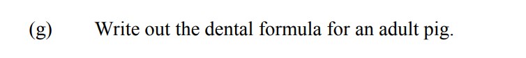 Write-out-the-dental-formula-for-an-adult-pig.-Leaving Cert Agricultural Science-Question g-2007.png