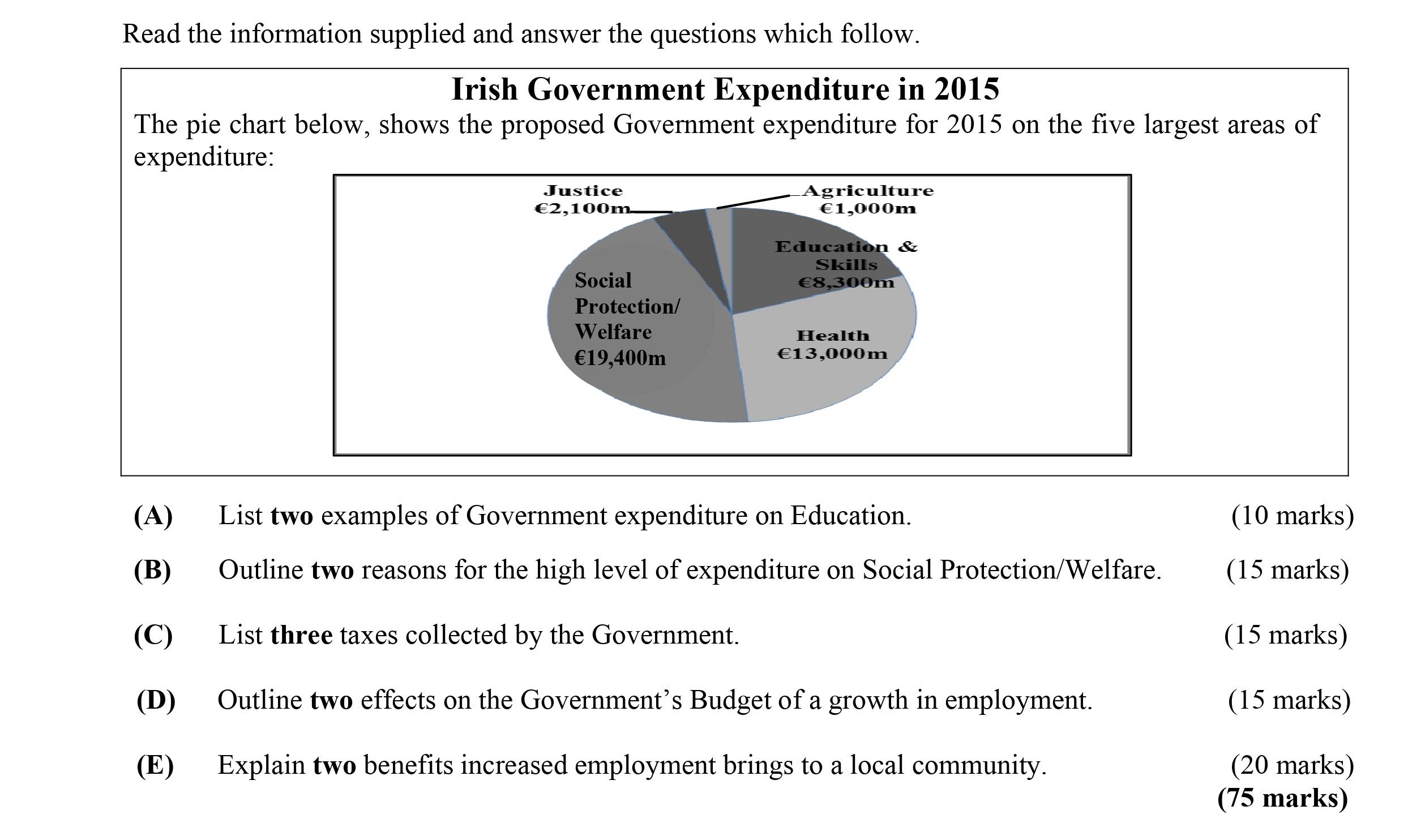 List-two-examples-of-Government-expenditure-on-Education-Leaving Cert Business-Question A-2015.png