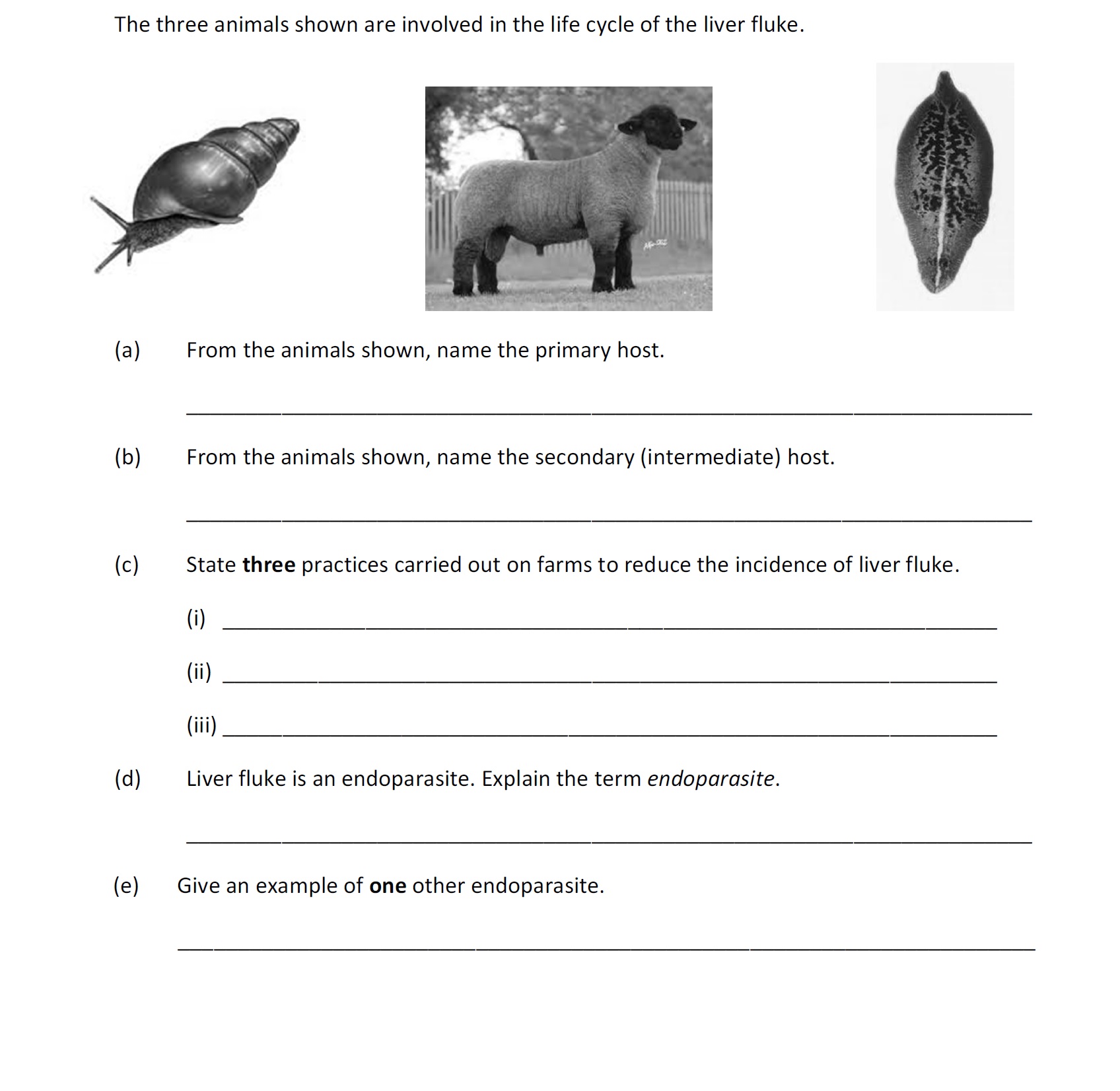 From-the-animals-shown,-name-the-primary-host.----Leaving Cert Agricultural Science-Question a-2018.png