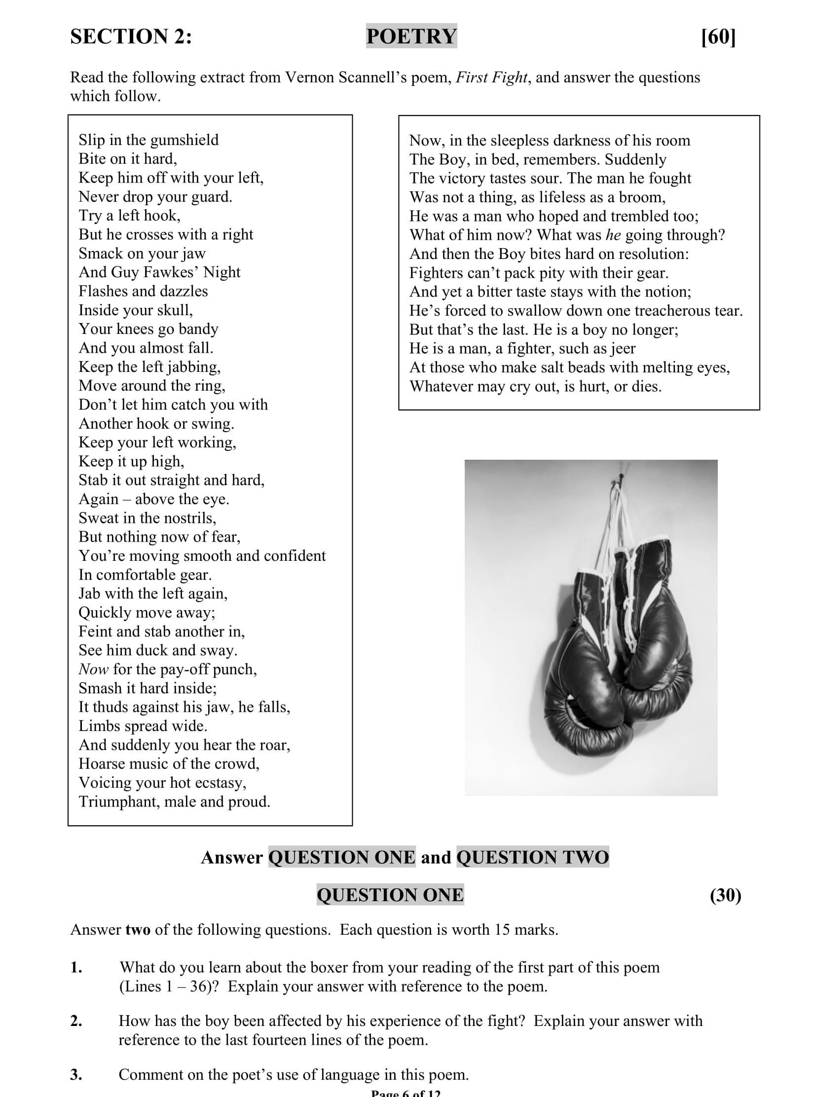 What-do-you-learn-about-the-boxer-from-your-reading-of-the-first-part-of-this-poem-(Lines-1-–-36)?-Explain-your-answer-with-reference-to-the-poem-Junior Cycle English-Question 1-2012.png