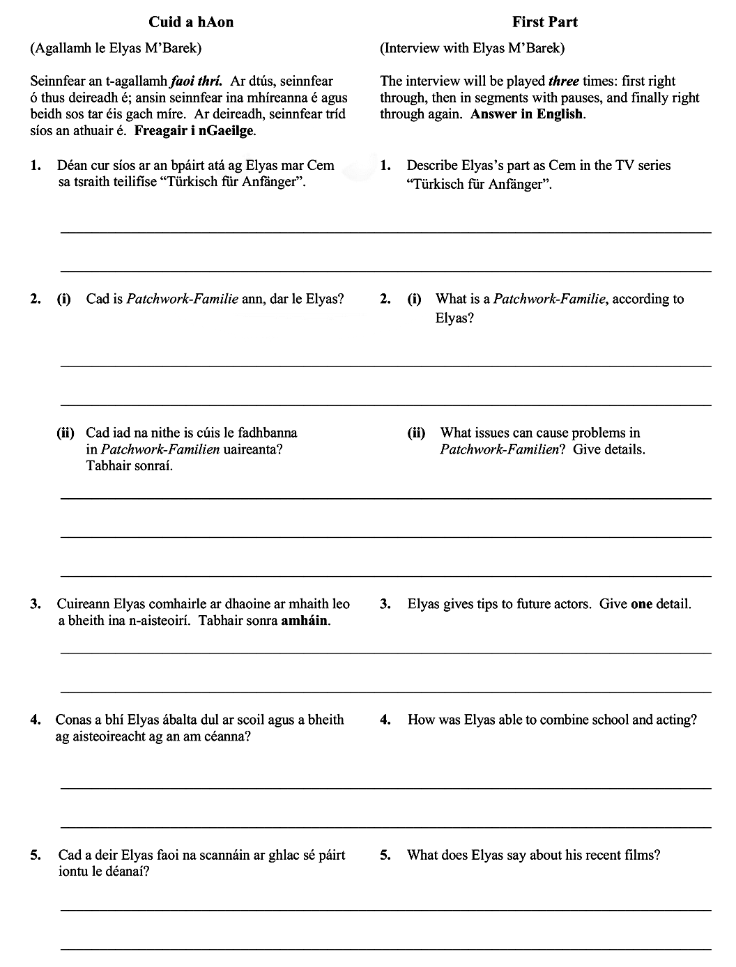 Describe-Elyas’s-part-as-Cem-in-the-TV-series-“Türkisch-für-Anfänger”-Leaving Cert German-Question Cuid a hAon-2015.png