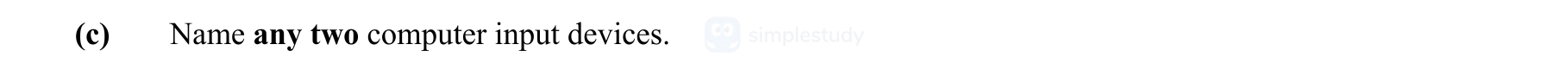 Name-any-two-computer-input-devices.-Leaving Cert Engineering-Question e-2014.png