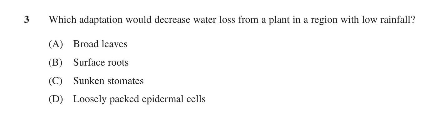 Which-adaptation-would-decrease-water-loss-from-a-plant-in-a-region-low-rainfall?--(A)-Broad-leaves-(B)-Surface-roots-(C)-Sunken-stomates-(D)-Loosely-packed-epidermal-cells-HSC-SSCE Biology-Question 3-2015-Paper 1.png