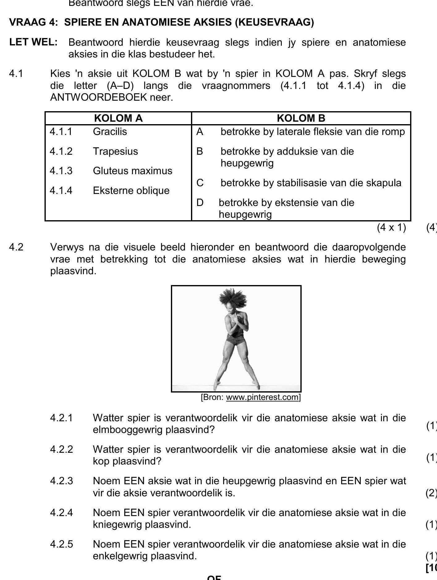 VRAAG-4:-SPIER-EN-ANATOMIESE-AKSIES-(KEUSEVRAAG)---LET-WEL:-Beantwoord-hierdie-keusevraag-as-jy-spiere-en-anatomiese-aksies-in-die-klas-bestudeer-het-NSC Dance Studies-Question 4-2018-Paper 1.png