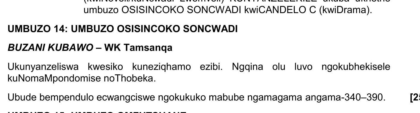 UMBUTO-14:-UMBUZO-OSSISINCOKO-SONCWADI--BUZANI-KUBAWO-–-WK-Tamsanqa--Ukunyanyiselwa-kwesiko-kuneziqhamo-ezibi-NSC IsiXhosa HL-Question 14-2021-Paper 2.png