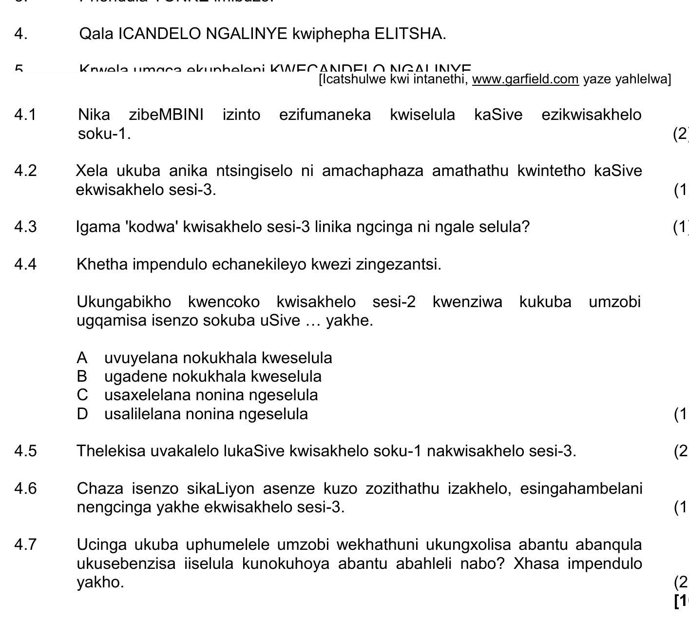 4.1-Nika-zibeMBINI-izinto-ezifumaneka-kwisive-kaSive-ezingxenyeni-soku-1-NSC IsiXhosa HL-Question 4-2021-Paper 1.png
