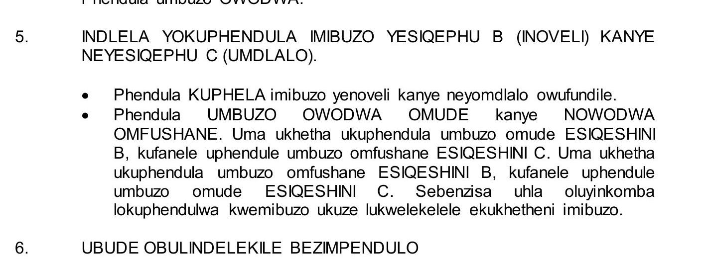 INDLELA-YOKUPHENDULA-IMIBUZO-YESIQEPHU-B-(NOVEL)-KANYE-NEYESIQEPHU-C-(UMDLALO)-NSC IsiZulu HL-Question 5-2017-Paper 2.png