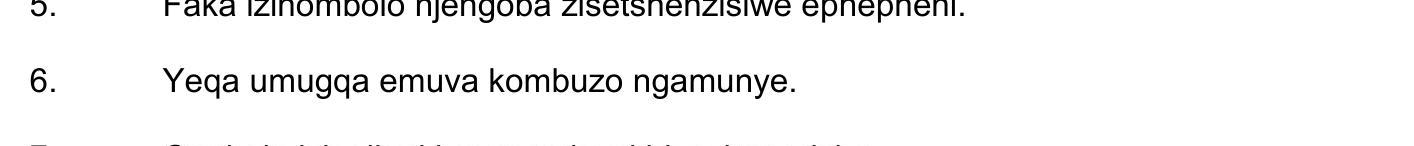 Yeqa-umugqa-emuva-kombuzo-ngamunye.--NSC IsiZulu HL-Question 6-2019-Paper 1.png