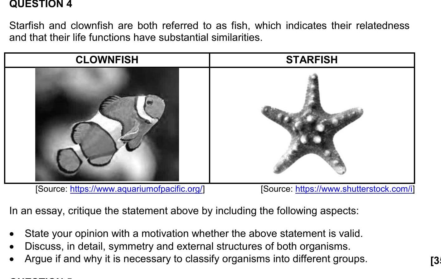 Starfish-and-clownfish-are-both-referred-to-as-fish,-which-indicates-their-relatedness-and-that-their-life-functions-have-substantial-similarities-NSC Marine Sciences-Question 4-2022-Paper 2.png