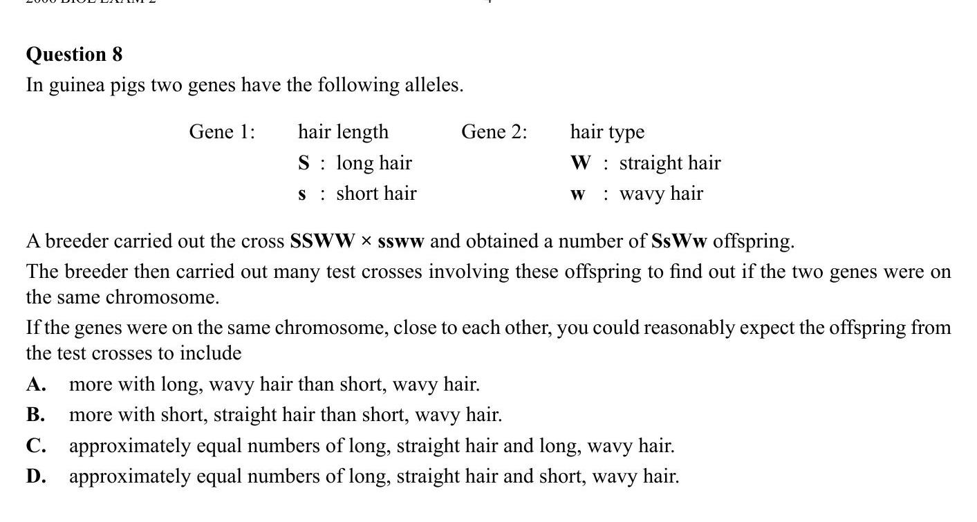 In-guinea-pigs-two-genes-have-the-following-alleles-VCE-SSCE Biology-Question 8-2006-Paper 1.png