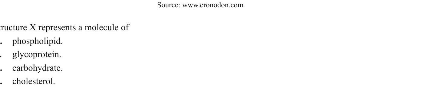 Structure-X-represents-a-molecule-of---phospholipid-VCE-SSCE Biology-Question 6-2014-Paper 1.png