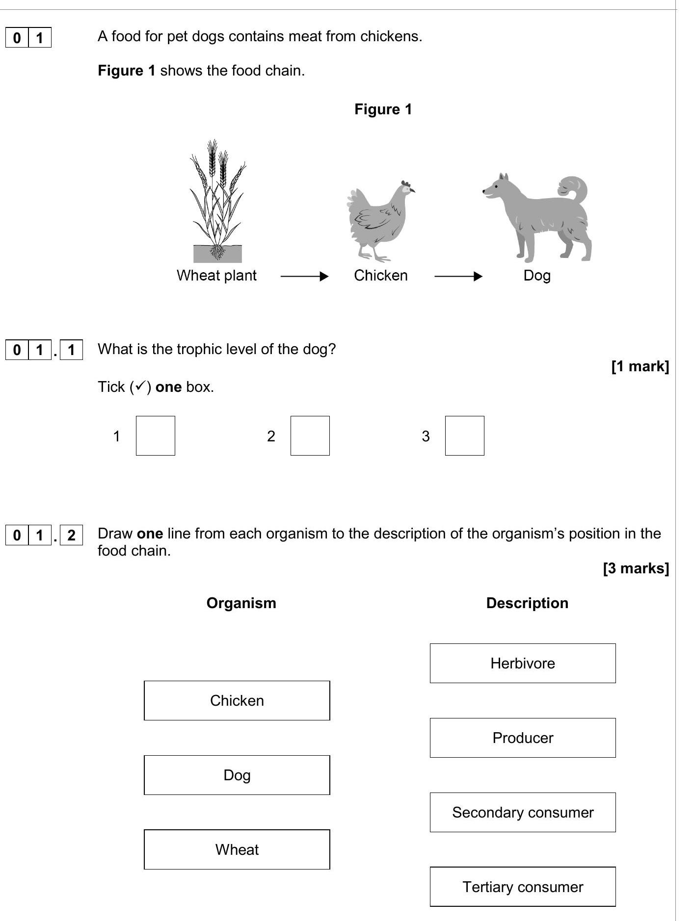 GCSE AQA Biology Trophic Levels in an Ecosystem: A food for pet dogs ...
