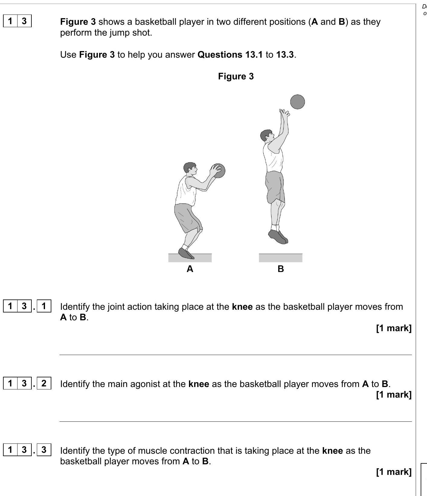 Pep Gcse Coursework Example Basketball GCSE AQA Physical Education The Structure & Functions of the ...