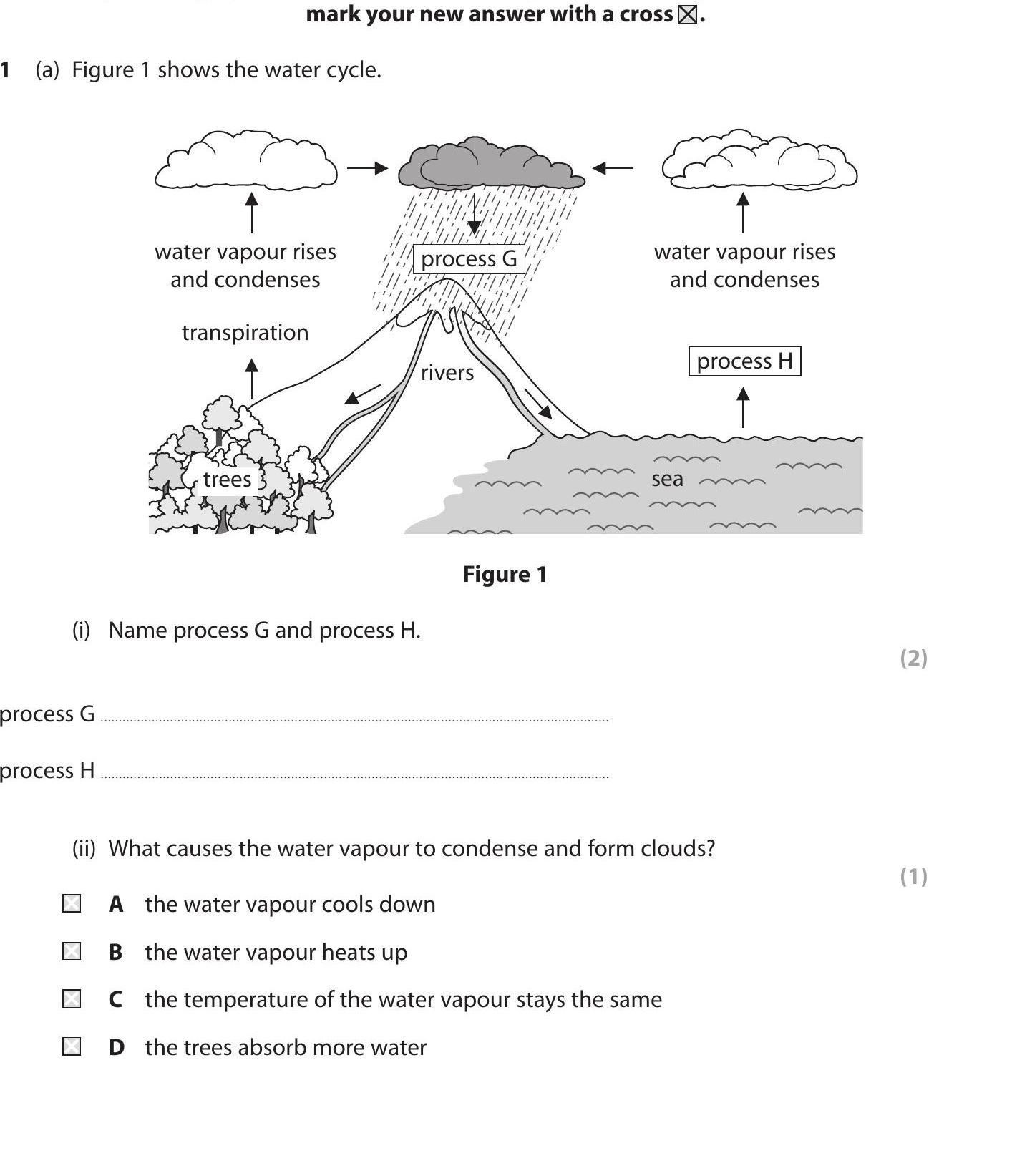 GCSE Edexcel Biology Water cycle: Figure 1 shows the water cycle.