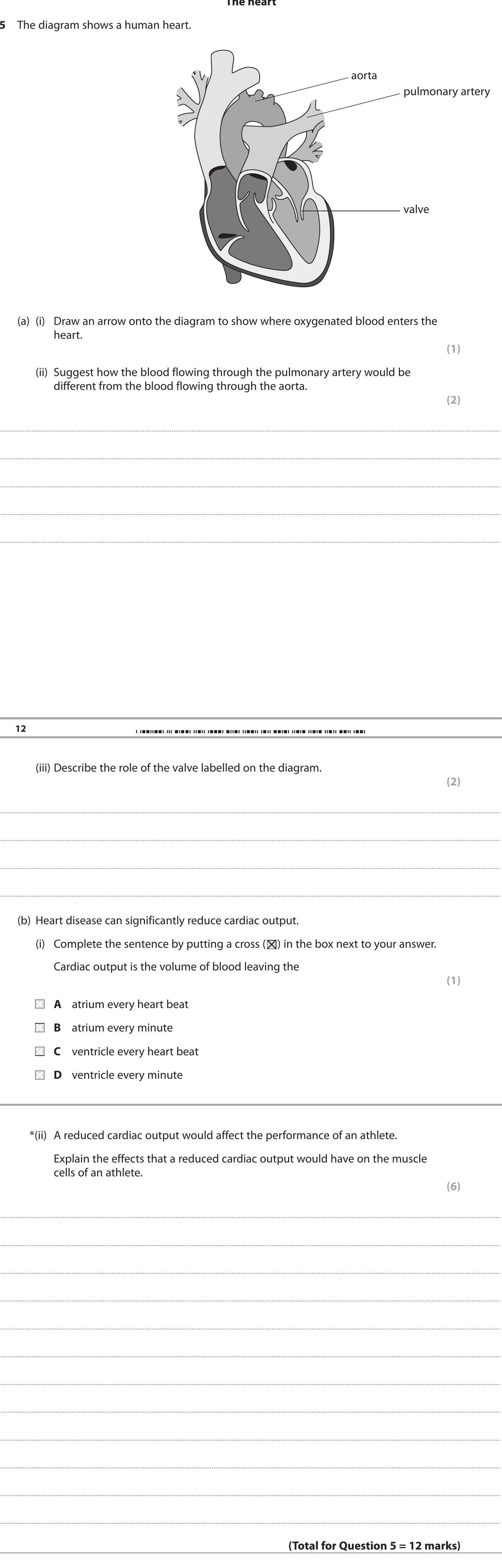 The-diagram-shows-a-human-heart-Edexcel-GCSE Biology-Question 5-2012-Paper 1.png