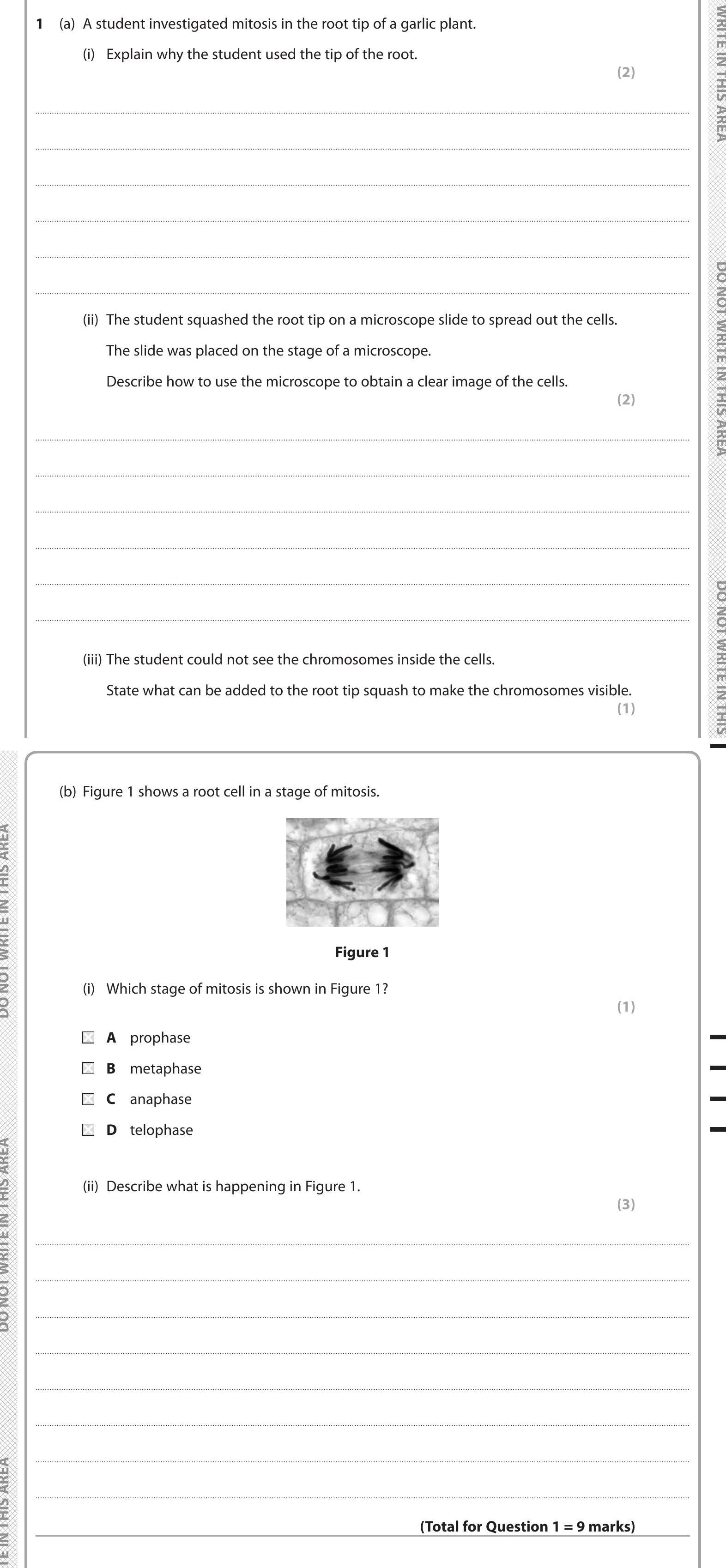 GCSE Edexcel Biology: Combined Science Core Practical: Drawing specimen ...