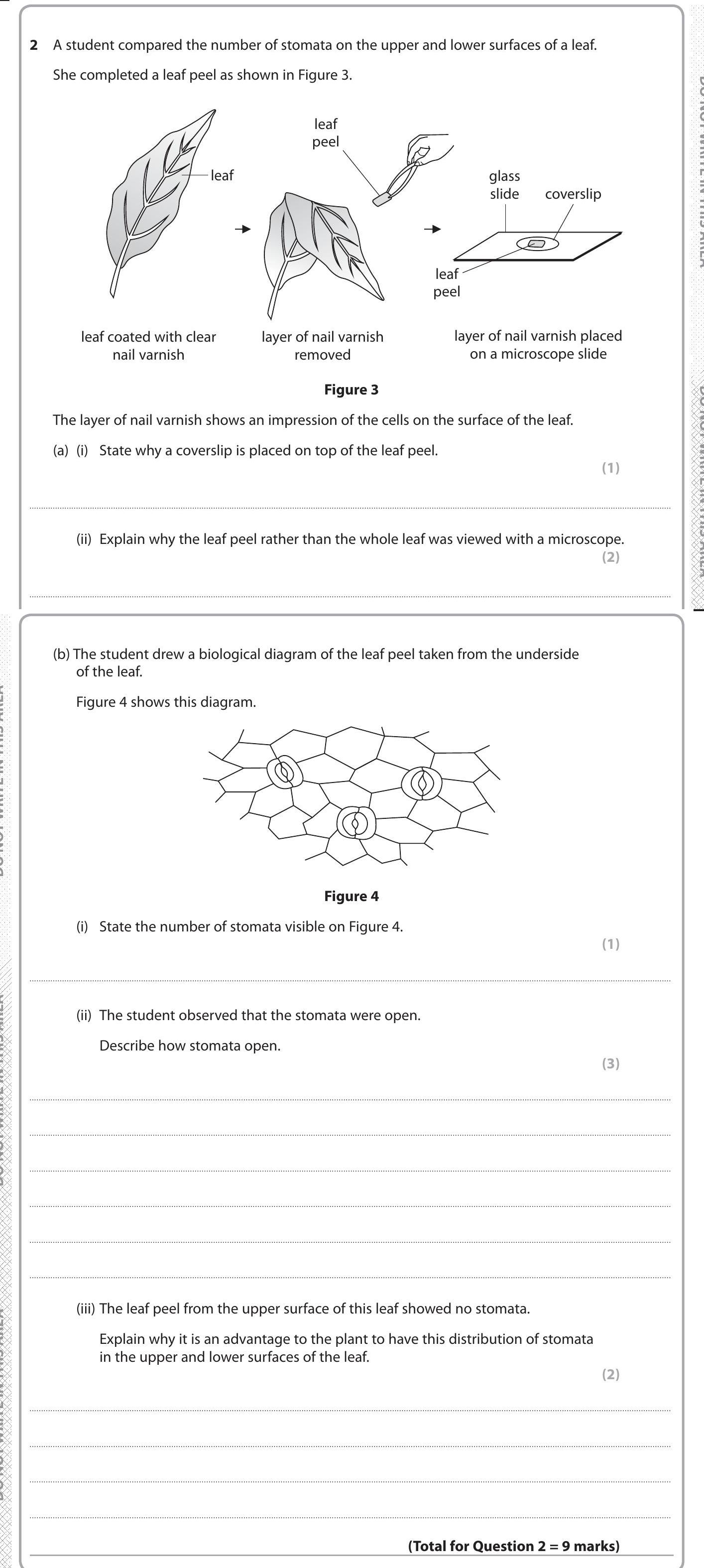 Gsce Microscope Comparision GCSE Edexcel Biology: Combined Science Core Practical: Drawing specimen ...