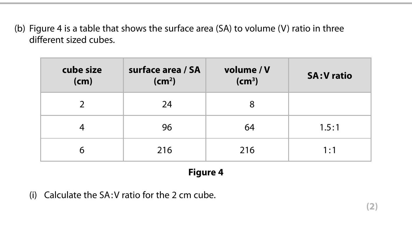 Calculate-the-SA:V-ratio-for-the-2-cm-cube.-Edexcel-GCSE Biology Combined Science-Question 4-2016-Paper 1.png