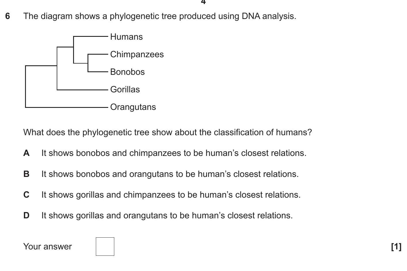 The-diagram-shows-a-phylogenetic-tree-produced-using-DNA-analysis-OCR Gateway-GCSE Biology Combined Science-Question 6-2021-Paper 1.png