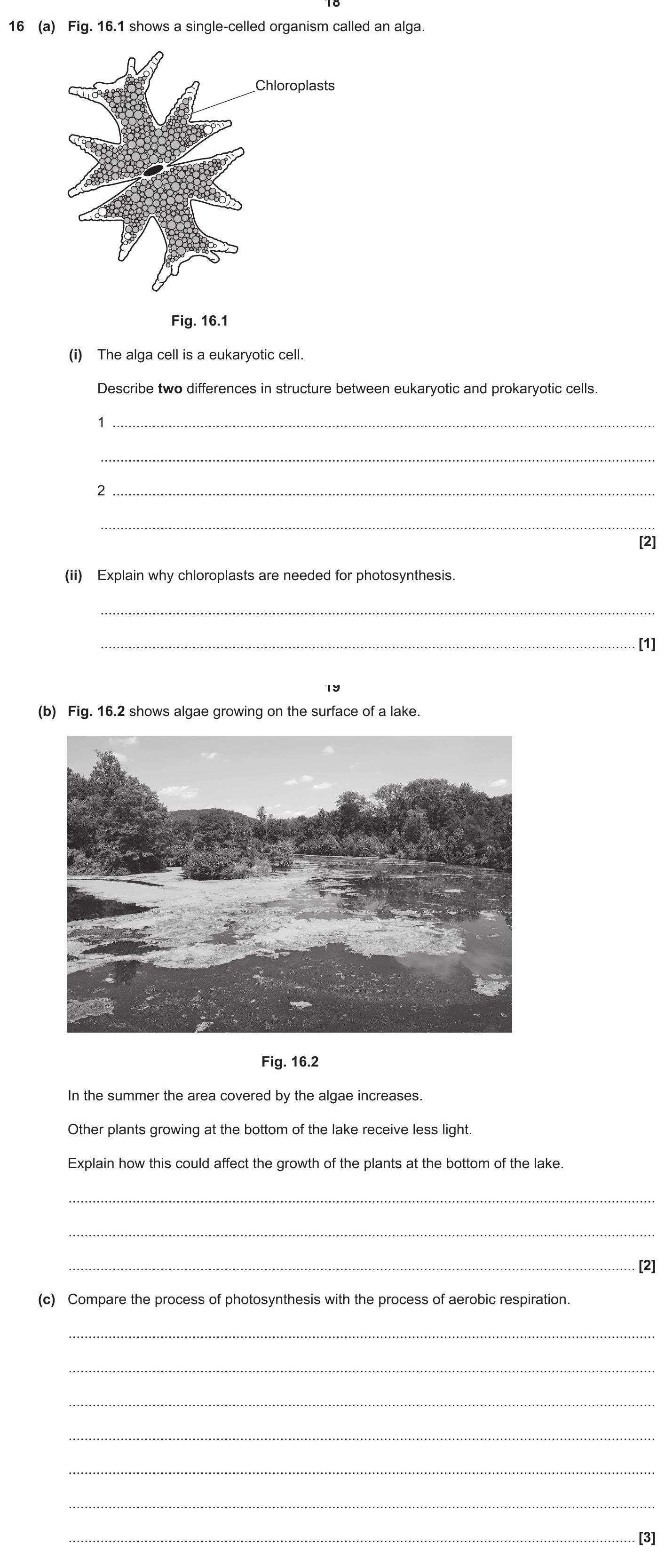GCSE OCR Gateway Biology Combined Science 1.1 Cell Structure: 16 (a ...
