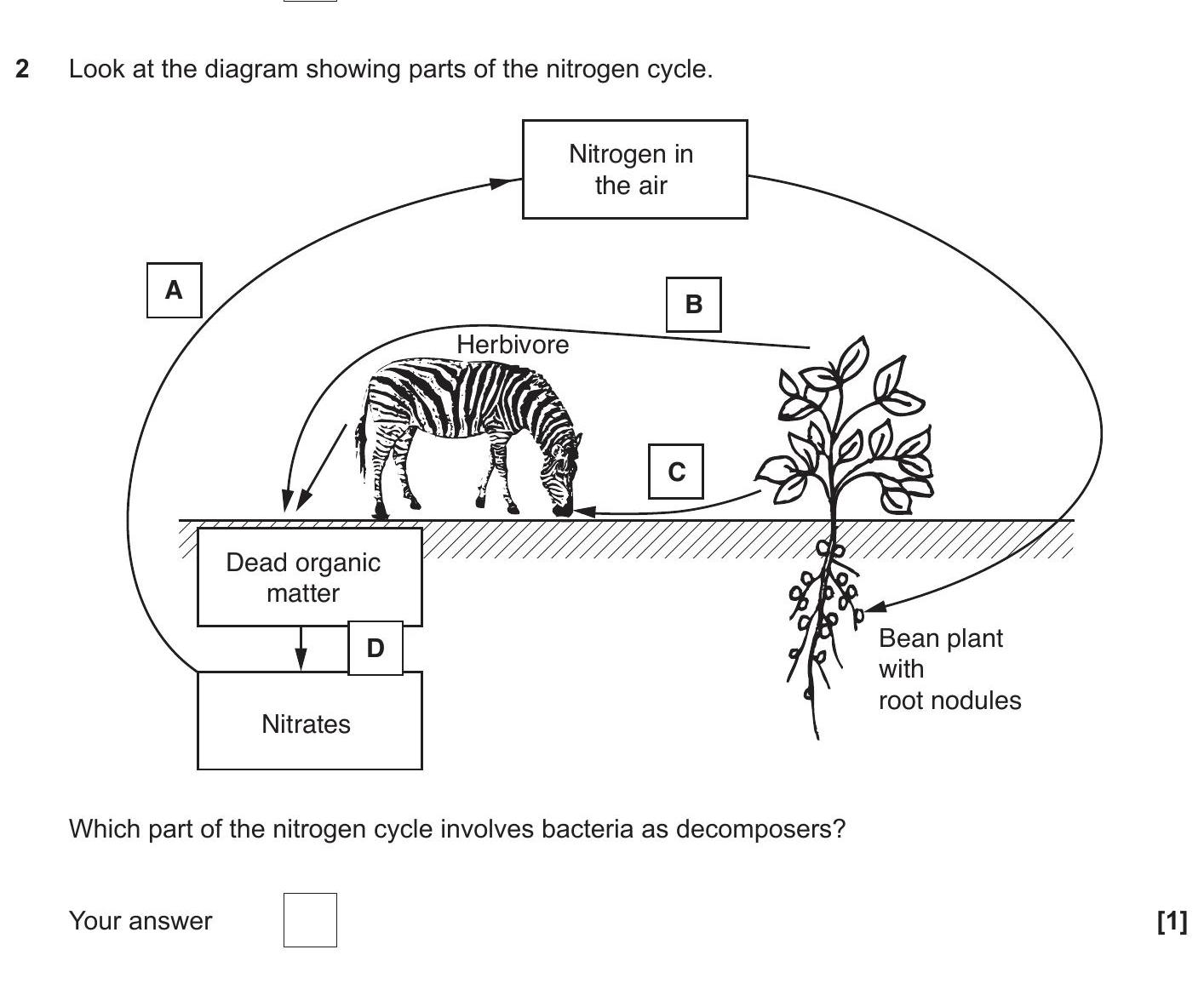 Look-at-the-diagram-showing-parts-of-the-nitrogen-cycle-OCR Gateway-GCSE Biology Combined Science-Question 2-2018-Paper 8.png
