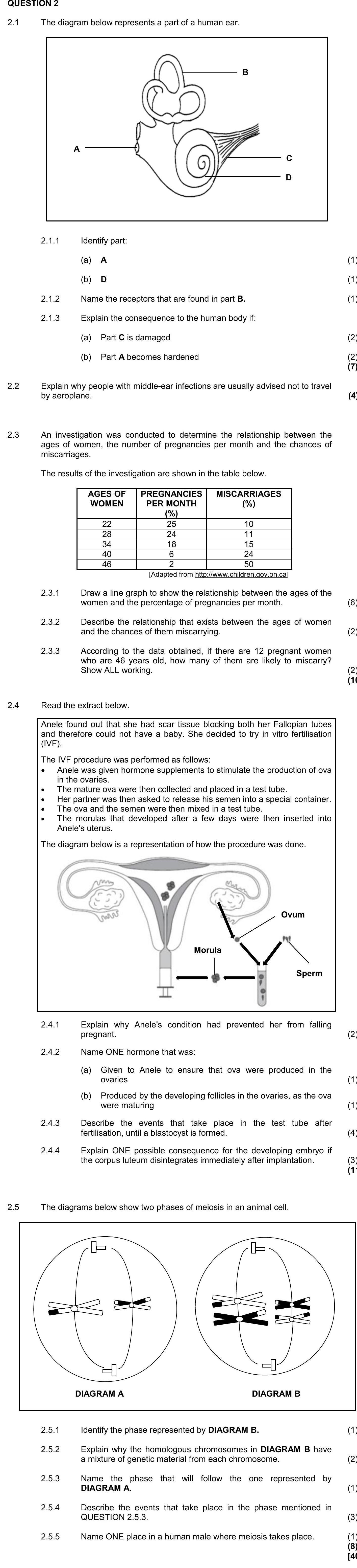 The-diagram-below-represents-a-part-of-a-human-ear-NSC Life Sciences-Question 2-2016-Paper 1.png