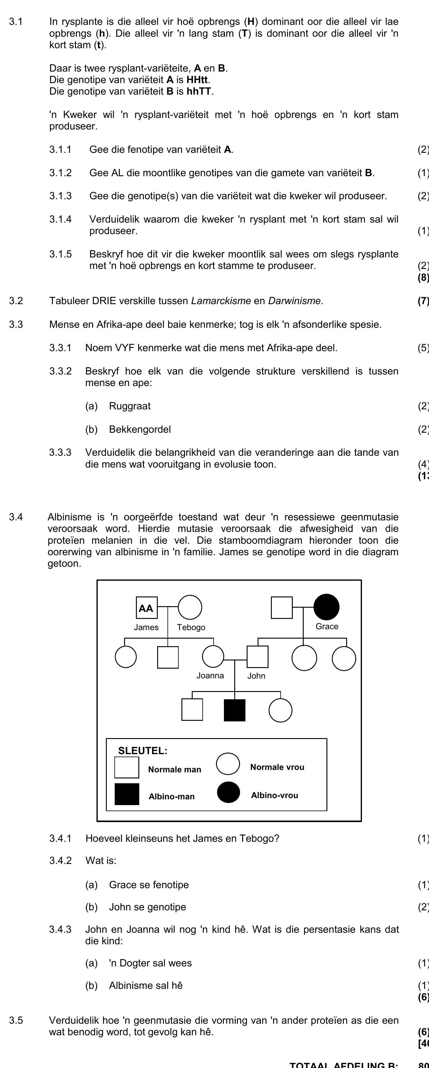 In-rysplante-is-die-allel-vir-hoë-opbrengs-(H)-dominant-oor-die-allel-vir-lae-opbrengs-(h)-NSC Life Sciences-Question 3-2016-Paper 2.png