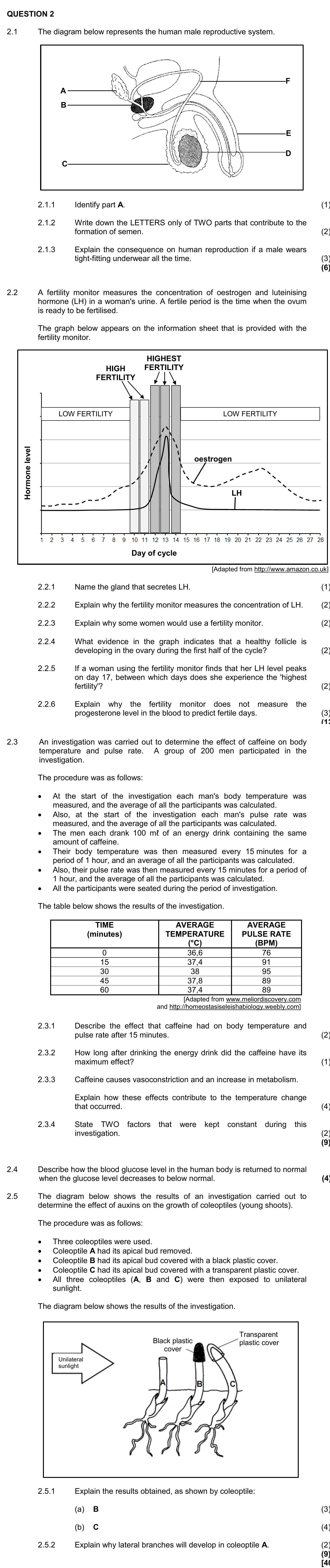 2.1-The-diagram-below-represents-the-human-male-reproductive-system-NSC Life Sciences-Question 2-2016-Paper 1.png