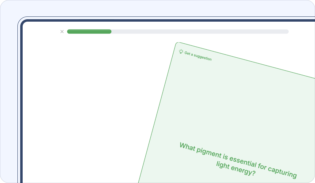 Flashcard Section